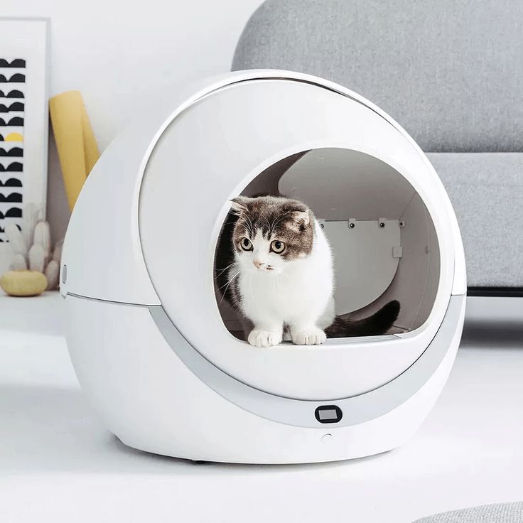 mesin kotoran kucing 